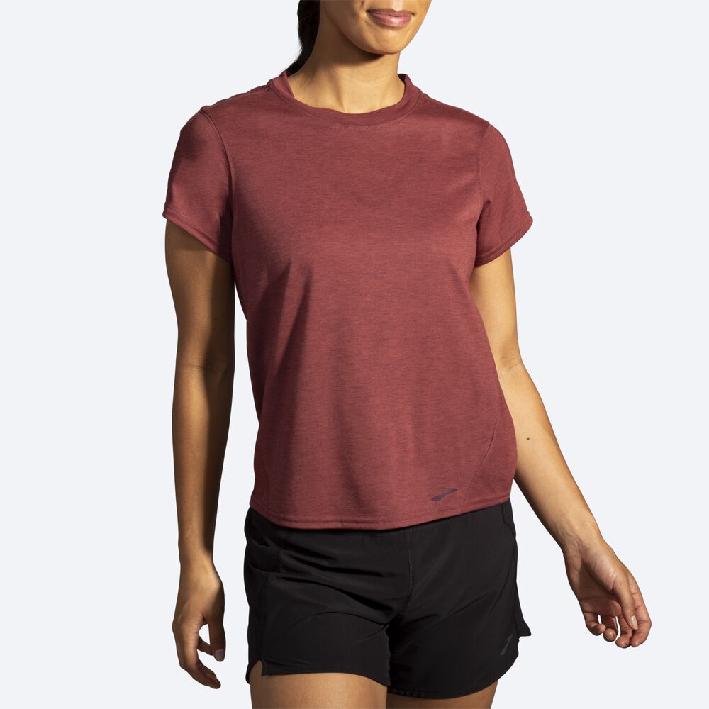 Camiseta Brooks Distance Short Sleeve Mujer Chocolate | Ecuador-14076