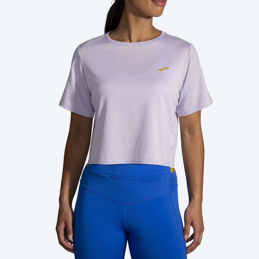 Camiseta Brooks Run Within Crop Tee Mujer Moradas Gris Rayadas | Ecuador-12935