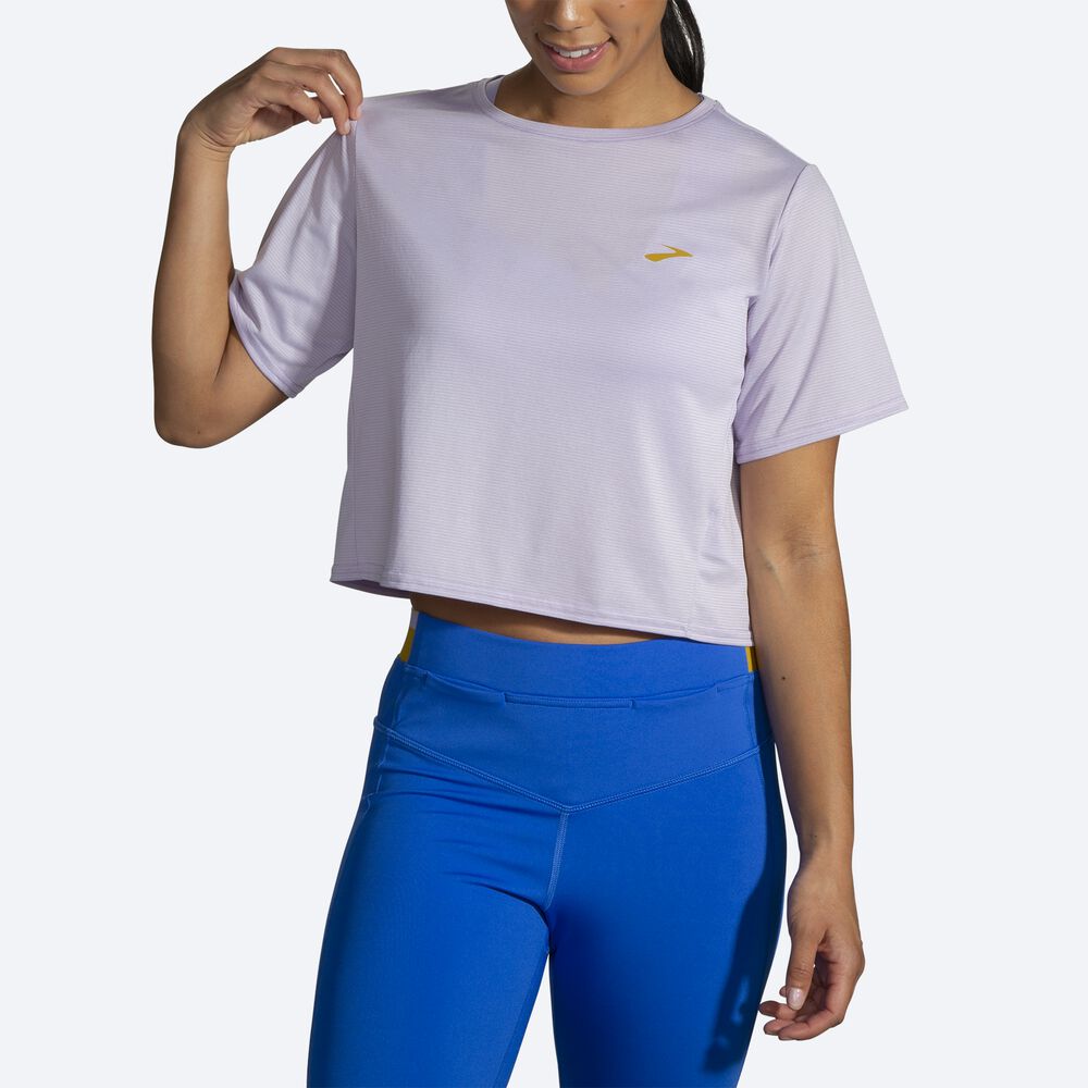 Camiseta Brooks Run Within Crop Tee Mujer Moradas Gris Rayadas | Ecuador-12935