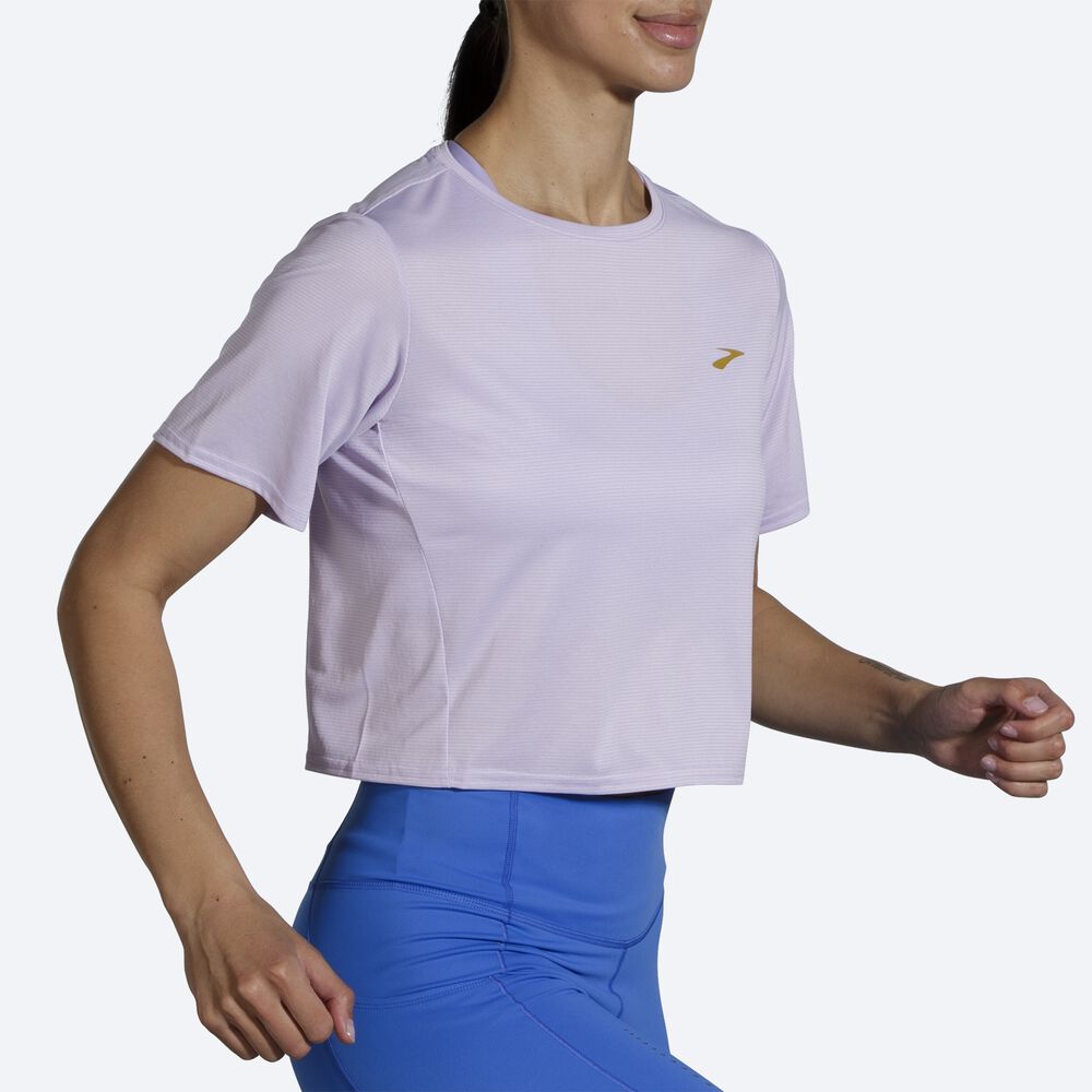 Camiseta Brooks Run Within Crop Tee Mujer Moradas Gris Rayadas | Ecuador-12935