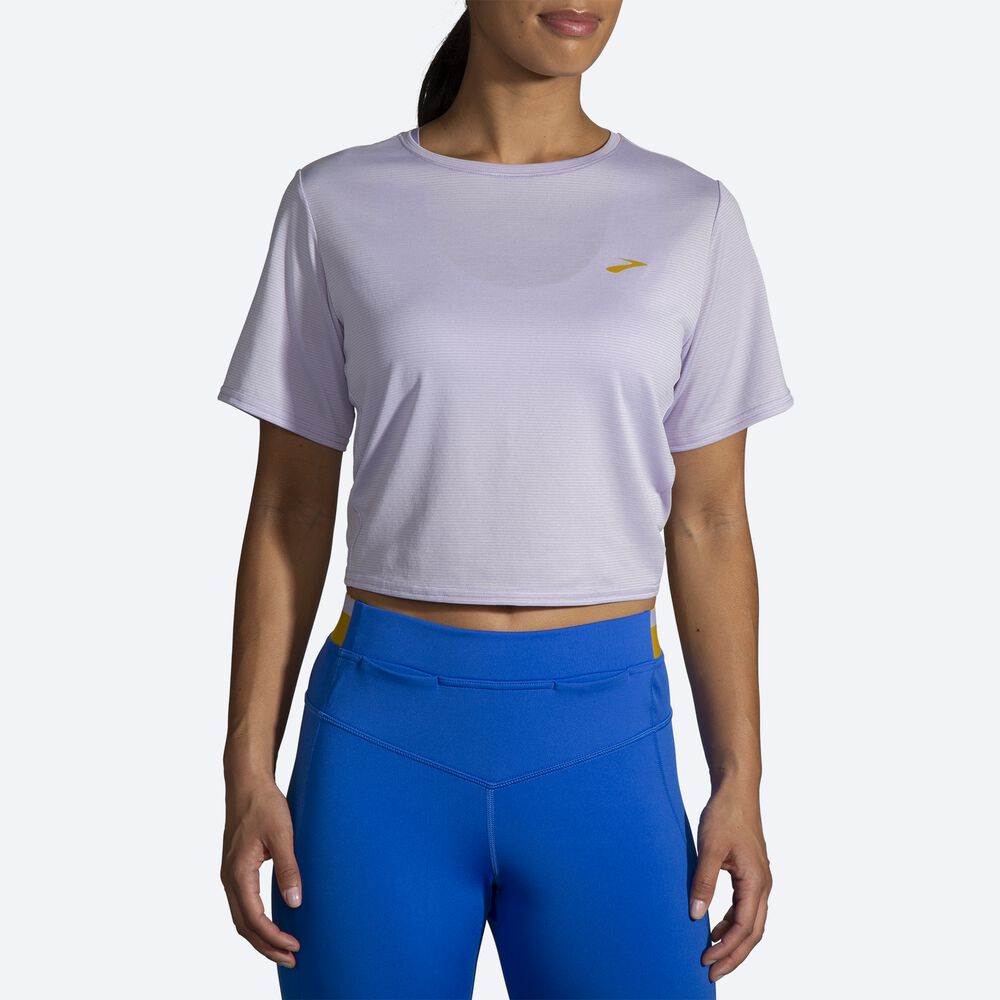 Camiseta Brooks Run Within Crop Tee Mujer Moradas Gris Rayadas | Ecuador-12935