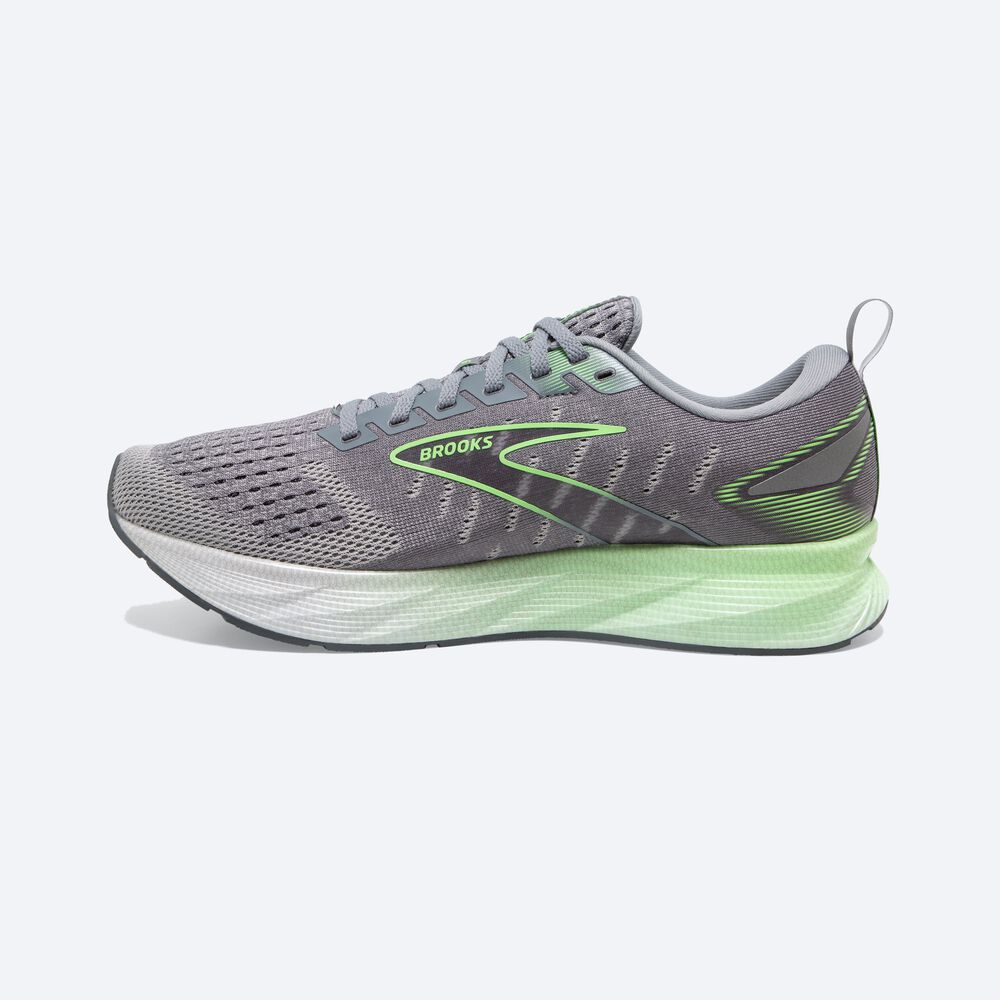 Zapatillas Running Brooks Levitate 6 Hombre Gris/Verde | Ecuador-30857