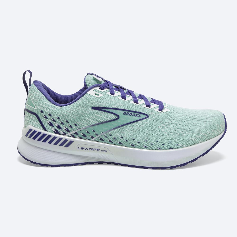 Zapatillas Running Brooks Levitate GTS 5 Mujer Verde/Azul Marino Azules/Blancas | Ecuador-13429