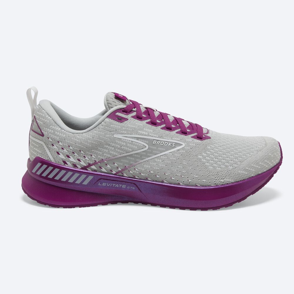 Zapatillas Running Brooks Levitate GTS 5 Mujer Gris/Lavanda | Ecuador-92138