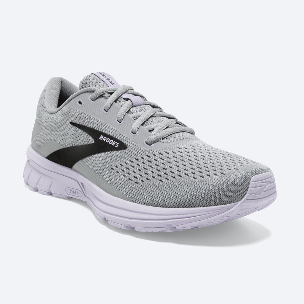 Zapatillas Running Brooks Signal 3 Mujer Gris/Lavanda Azules/Metal Negras | Ecuador-65801