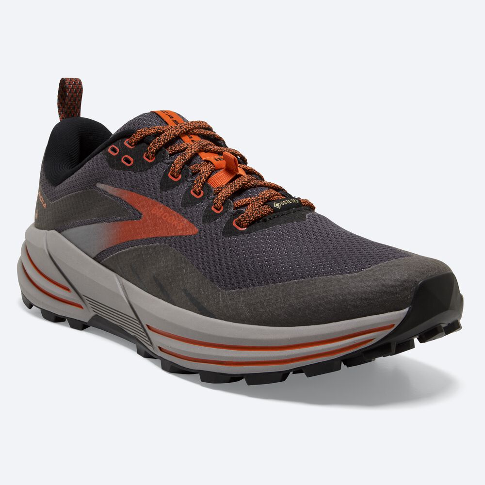 Zapatillas Trail Brooks Cascadia 16 GTX Hombre Negras | Ecuador-83241